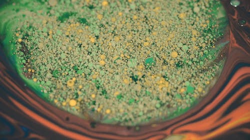 有关宏观, 慢动作, 抽象的免费素材视频