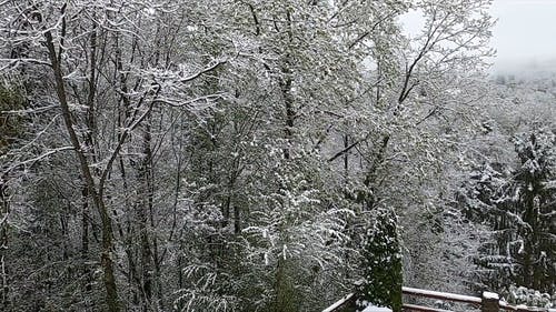 有关下雪, 冬季, 多云的的免费素材视频