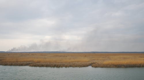 火灾烟气漂浮在广阔的草原上 · 免费素材视频