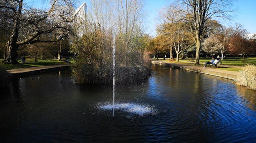 有关公园, 喷泉, 天性的免费素材视频