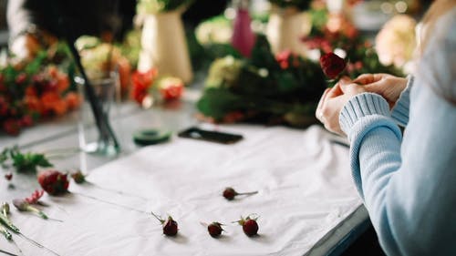 准备插花的女人的画面 · 免费素材视频