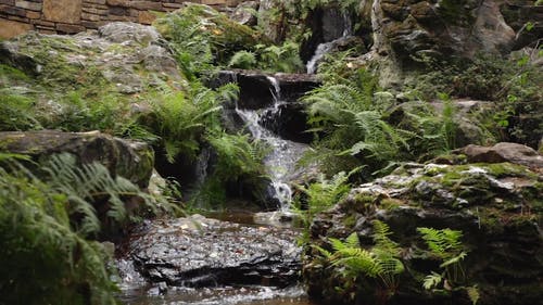 水流 · 免费素材视频