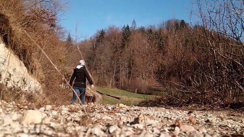 一个宠物女人和她的狗在森林山上漫步 · 免费素材视频