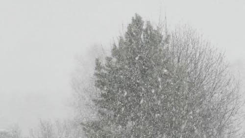 有关下雪, 冬季, 冷的免费素材视频