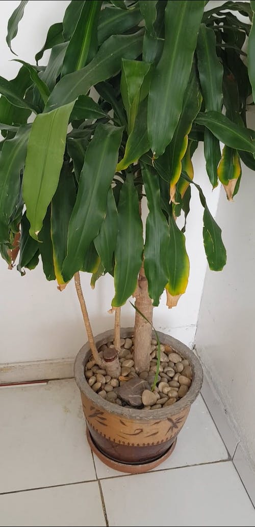 有关垂直视频, 室内, 手持拍摄的免费素材视频