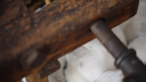 有关宠物, 从上面, 狗的免费素材视频