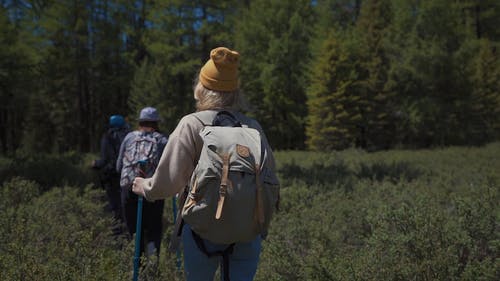 有关休闲, 健行, 夏天的免费素材视频