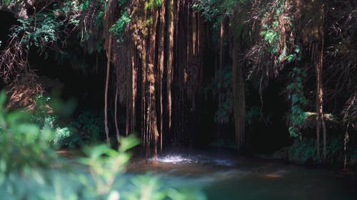 有关天性, 户外, 旅行的免费素材视频