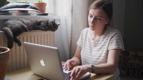 有关在家, 女人, 家畜的免费素材视频