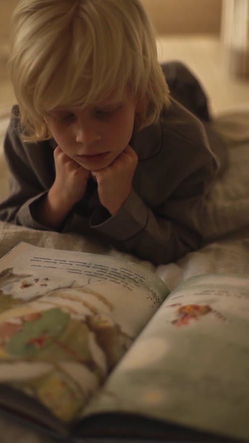 一个男孩在床上读书 · 免费素材视频