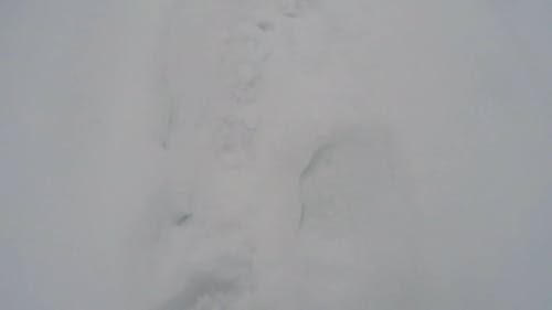 有人在雪中行走的镜头 · 免费素材视频