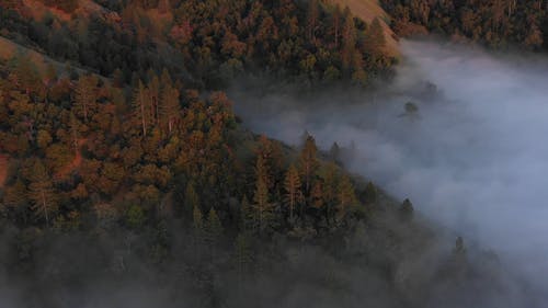 有关山, 山林, 山谷的免费素材视频