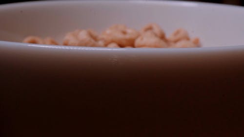 有关倾注, 早餐, 牛奶的免费素材视频