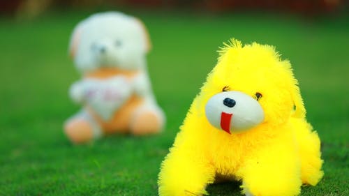 在草地上的两个动物毛绒的玩具 · 免费素材视频