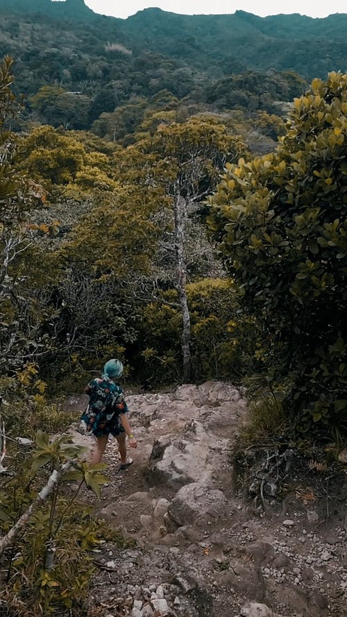 一个女人从山上的岩石小径上行走 · 免费素材视频