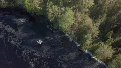 空中射击的河边森林 · 免费素材视频