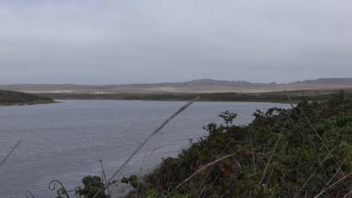 表面平静的湖水 · 免费素材视频