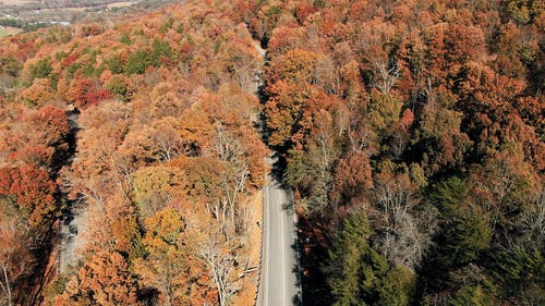 跟踪在山林间修路的无人驾驶飞机 · 免费素材视频