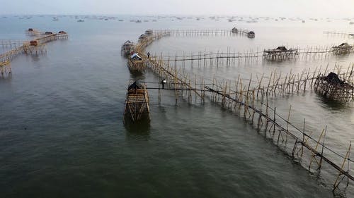 养鱼湖中的鱼笔线 · 免费素材视频