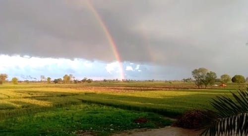 有关坏心情, 天性, 天空的免费素材视频