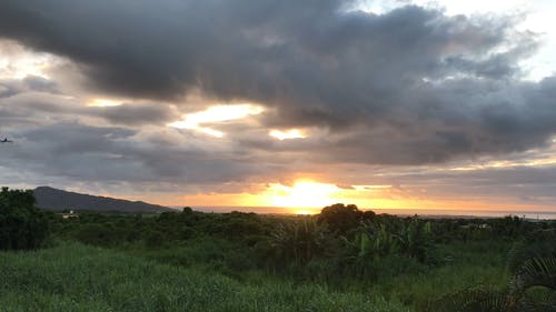 有关交通系统, 优美的风景, 天性的免费素材视频