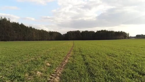 有关低角度, 天性, 天空中的云彩的免费素材视频