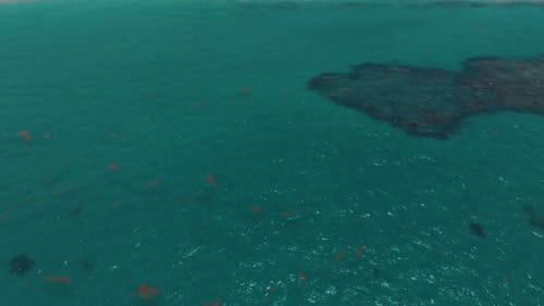 海岛海滩度假村的无人机画面 · 免费素材视频