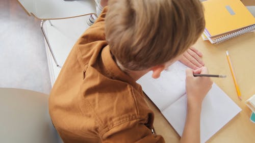 一个小男孩在他的笔记本上写讲座 · 免费素材视频