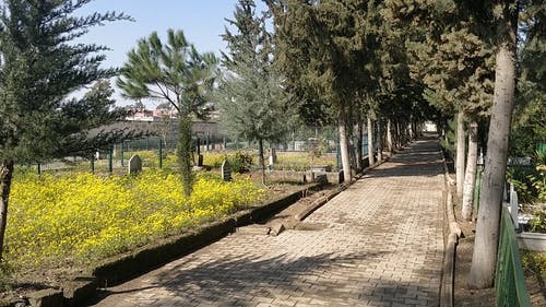 有关公园, 墓园, 墓地的免费素材视频