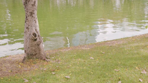 有关休闲, 伸展, 健康的免费素材视频