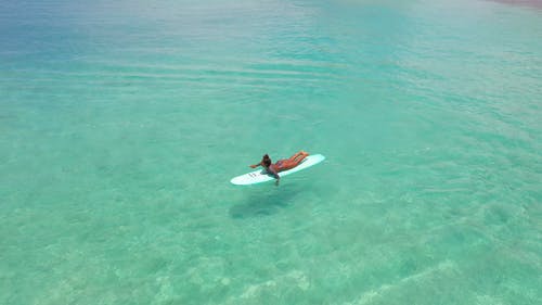 有关冲浪女孩, 划桨, 夏威夷的免费素材视频