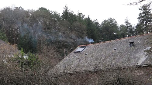 烟雾从森林房屋的烟囱冒出来 · 免费素材视频