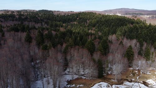 有关天性, 户外, 景观的免费素材视频