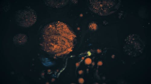 有关宏观, 慢动作, 抽象的免费素材视频