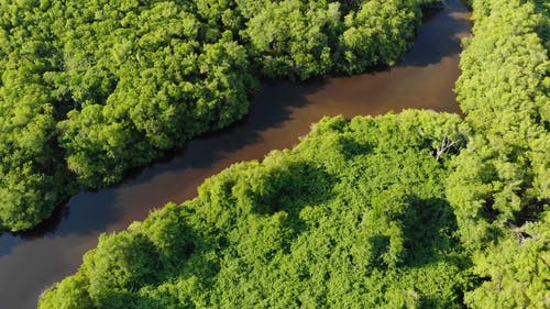 有关天性, 户外, 日光的免费素材视频