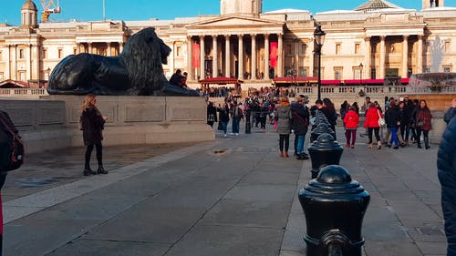 在政府大楼前的广场上的人群 · 免费素材视频