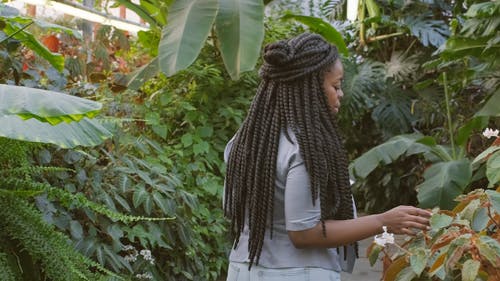 一个女人在花园温室里的植物拍照和闻花香 · 免费素材视频