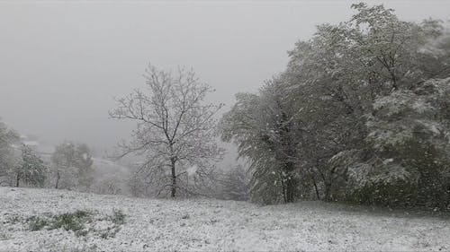 有关下雪, 冬季, 多云的的免费素材视频