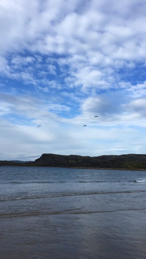 有关facebook的故事, Instagram, instagram的故事的免费素材视频