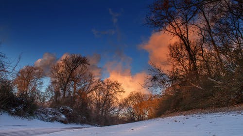 白雪覆盖的道路 · 免费素材视频