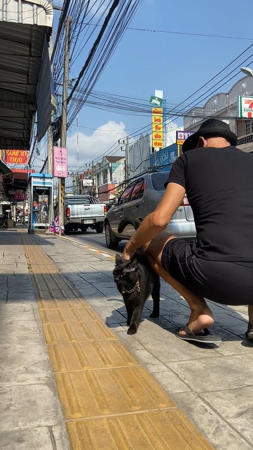 有关人, 人行道, 可爱的免费素材视频