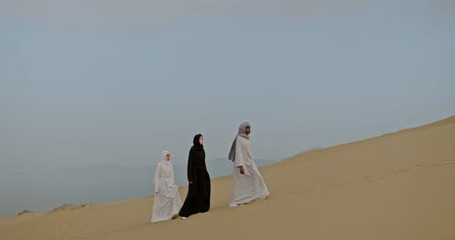 有关女性, 往上爬, 成人的免费素材视频