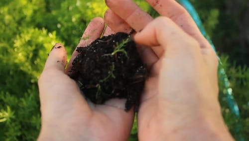 持有土壤的人 · 免费素材视频