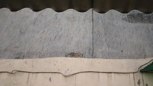 有关倒水, 屋顶, 湿的免费素材视频