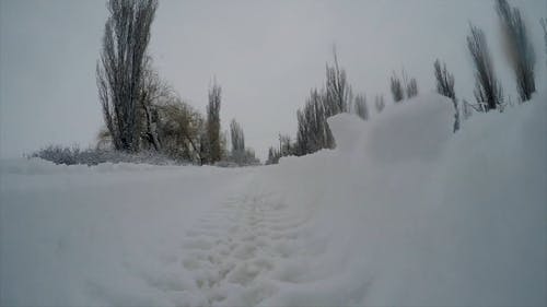 在积雪覆盖的道路上跟踪轮胎痕迹 · 免费素材视频