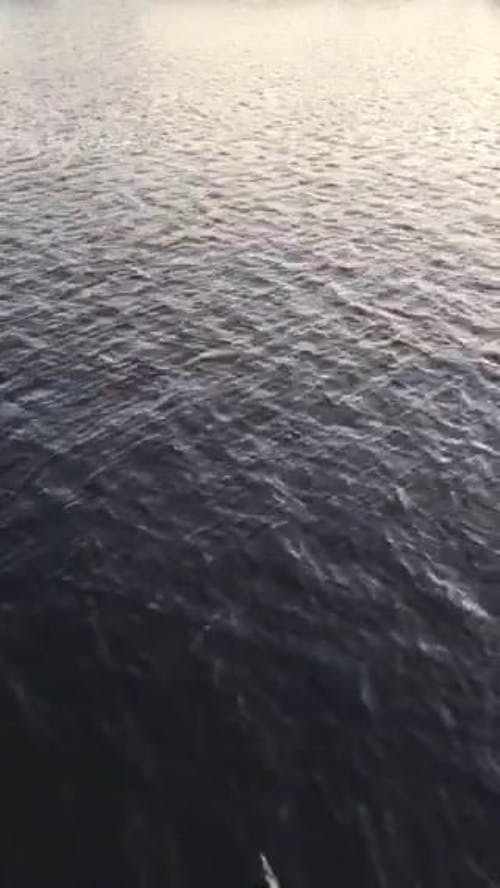 有关光反射, 垂直视频, 平静的水面的免费素材视频