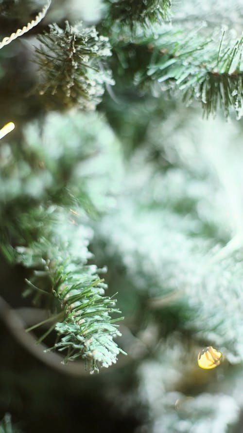 圣诞树与雪和闪闪发光 · 免费素材视频