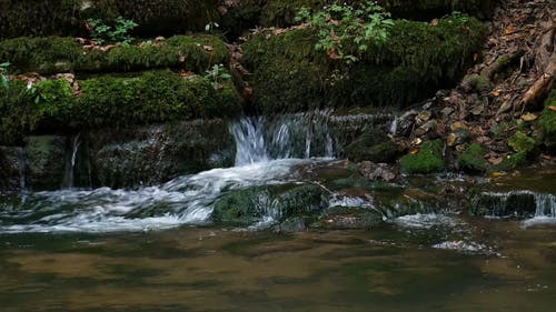 长满苔藓的岩石河景 · 免费素材视频