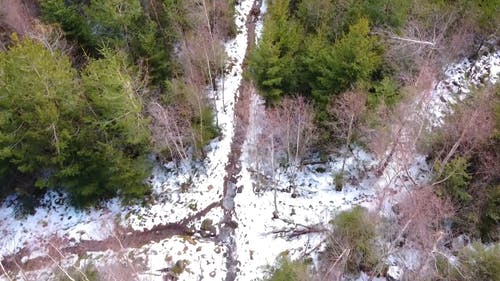 一个人在森林里徒步旅行远足径 · 免费素材视频