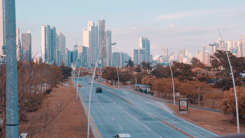 有关公园, 城市, 天际线的免费素材视频